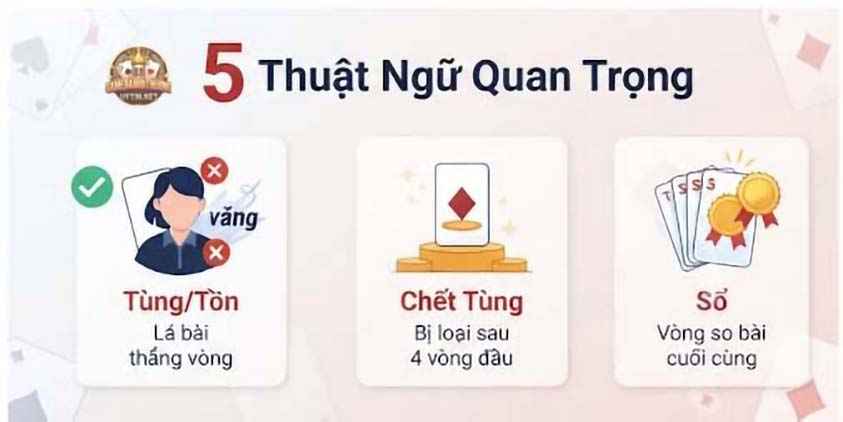 5 thuật ngữ Catte quan trọng
