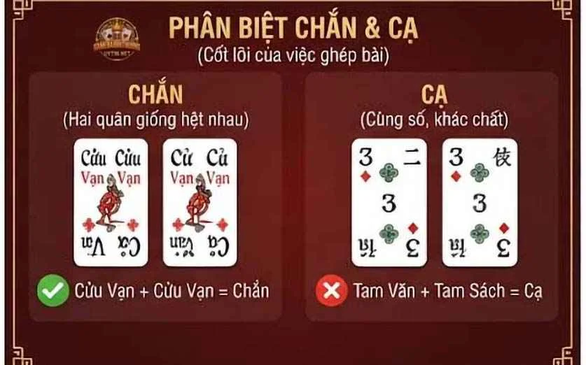 Phân biệt chắn và cạ