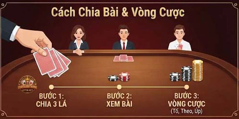 Cách chia bài và vòng cược