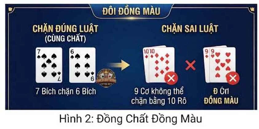 Tìm hiểu về đôi đồng màu