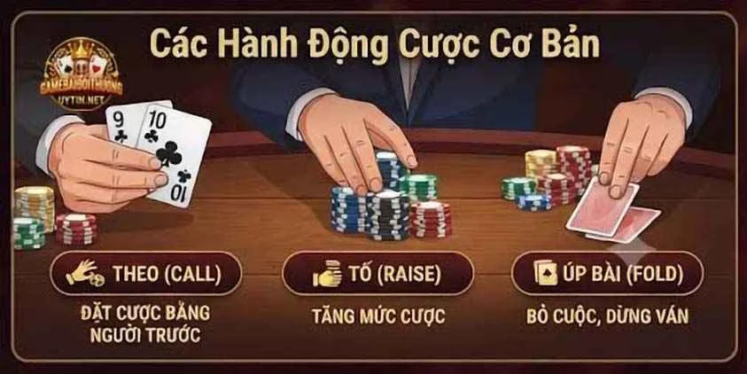 Quy trình một vòng cược Xì Tố